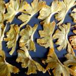 Chips d’ananas