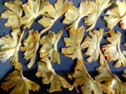 Chips d’ananas chips-dananas