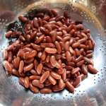 Gallo pinto 4