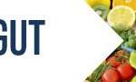 cuisinons-de-saison-en-fin-logo