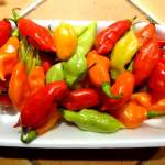 canapes-aux-piments-vegetariens-1