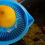 caviar-de-brocolis-8