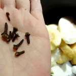 Coings confits 4