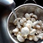 champignons glacés 1