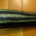 Caviar de courgettes 1