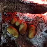 Pommes de terre sous la cendre 3
