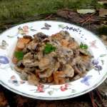 Knacks aux champignons à la crème 4