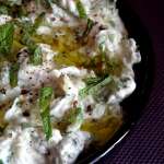 Tzatziki végétal 0