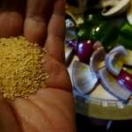 Brochettes de champignons 4