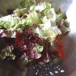 Salade aux fraises 5