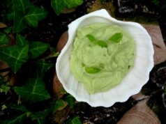 Mousse d’avocat au vinaigre de cidre mousse-davocat-au-vinaigre-de-cidre