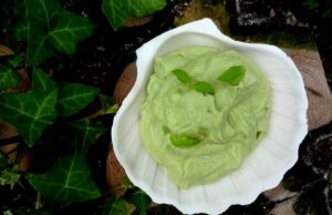 Mousse d’avocat au vinaigre de cidre mousse-davocat-au-vinaigre-de-cidre