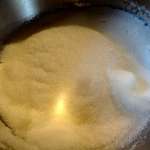 Noisettes caramélisées keto 2