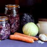 Lactofermentation