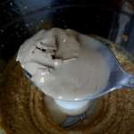 houmous aux épices keto 0015