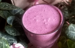 Smoothie protéiné aux fruits rouges (keto) smoothie-proteine-aux-fruits-rouges