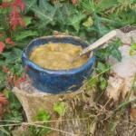 confiture-céto-de-rhubarbe-au-caramel