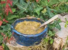 Confiture de rhubarbe au caramel