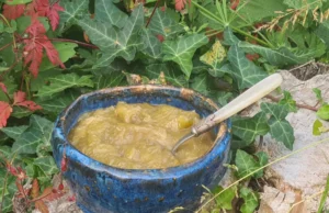 Confiture de rhubarbe au caramel