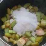 confiture céto de rhubarbe au caramel 6