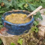 confiture-céto-de-rhubarbe-au-caramel-8